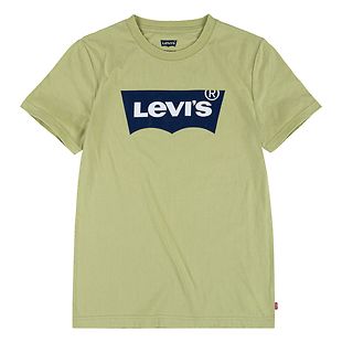 Levi's Batwing t-shirt, green (2-8 y)