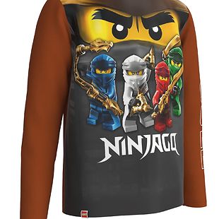 Lego Ninjago pitkähihainen t-paita, Cole ja kaverit