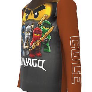 Lego Ninjago pitkähihainen t-paita, Cole ja kaverit