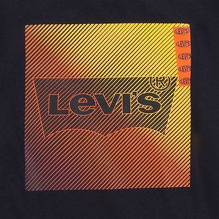 Levi's Neon Gradient pitkähihainen, 10-16-v.