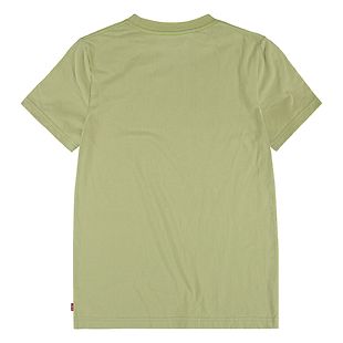 Levi's Batwing t-paita, vihreä (10-16 v.)