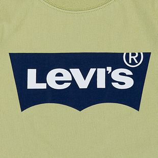 Levi's Batwing t-paita, vihreä (2-8 v.)